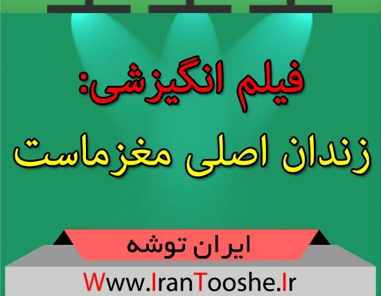 فیلم انگیزشی: زندان اصلی مغزماست