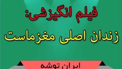 فیلم انگیزشی: زندان اصلی مغزماست