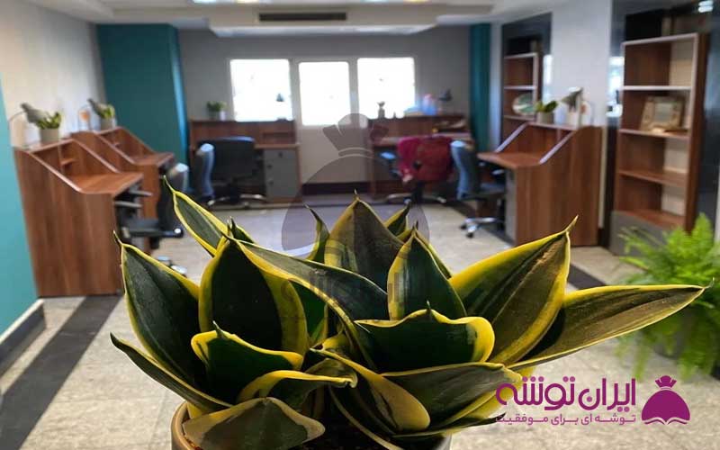 پانسیون مطالعاتی ظفر